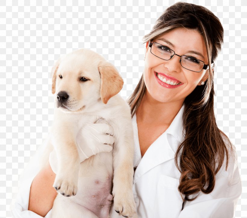 Dog Veterinarian Veterinary Medicine Rahway Animal Hospital Veterinary Pharmacy, PNG, 1810x1600px, Dog, Animal Welfare, Carnivoran, Companion Dog, Dog Breed Download Free