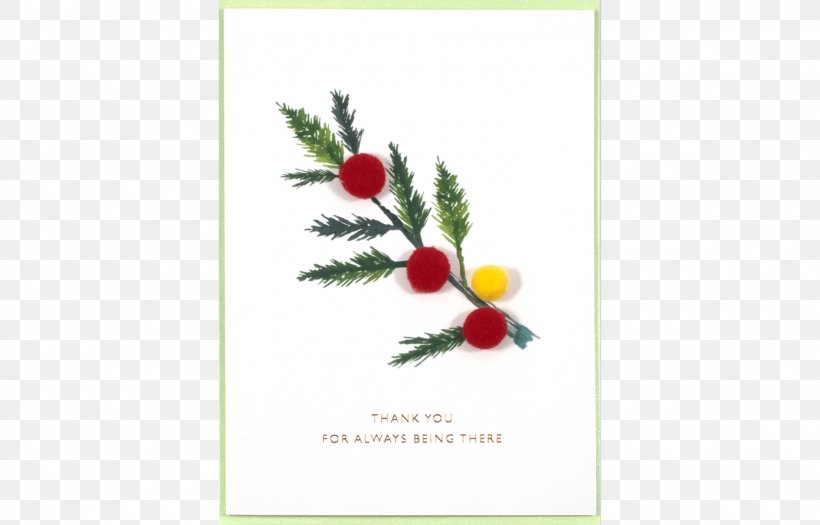 Greeting & Note Cards Christmas Ornament Floral Design, PNG, 1600x1026px, Greeting Note Cards, Aquifoliaceae, Christmas, Christmas Ornament, Flora Download Free