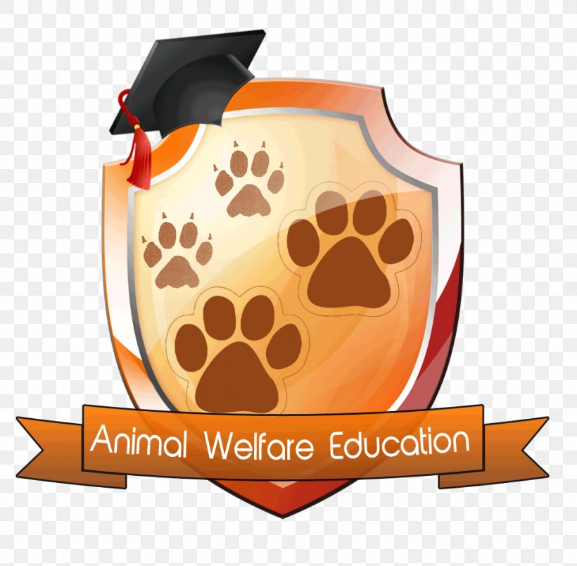 Street Dog Animal Welfare Pet Education, PNG, 972x954px, Dog, Animal, Animal Welfare, Brand, Dream Download Free