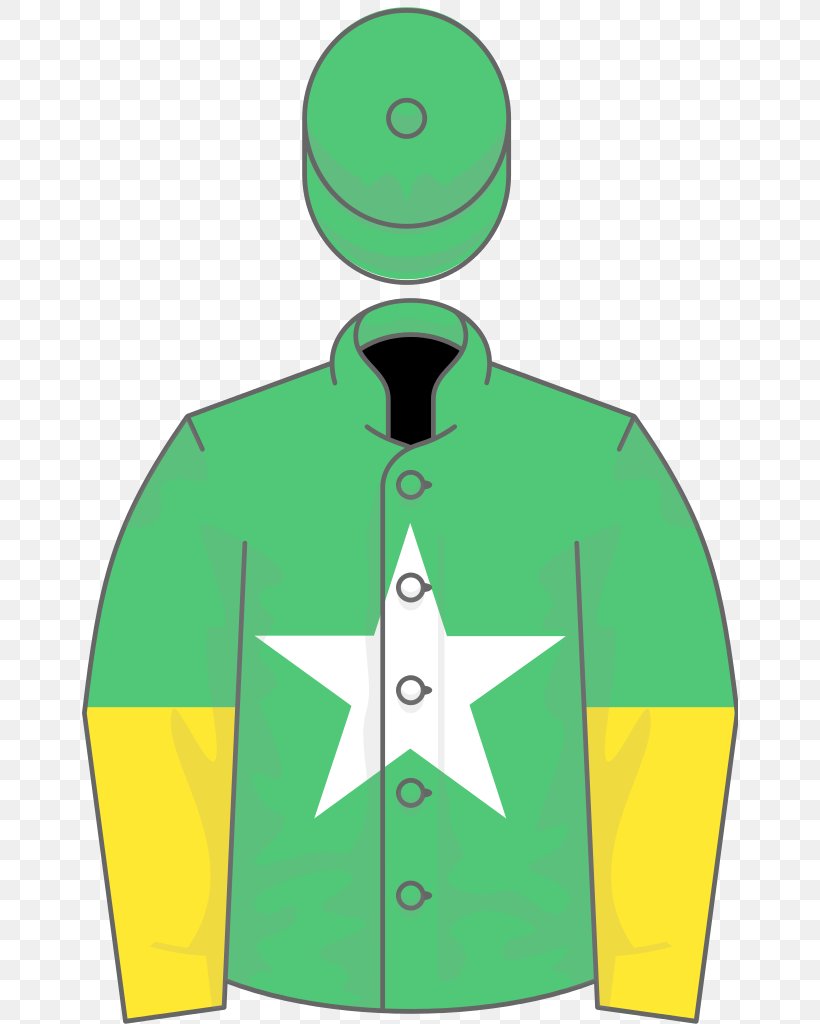 Thoroughbred Aintree Racecourse 1979 Grand National 2019 Grand National 2018 Grand National, PNG, 656x1024px, 1991 Grand National, 2018 Grand National, Thoroughbred, Aintree Racecourse, Brand Download Free