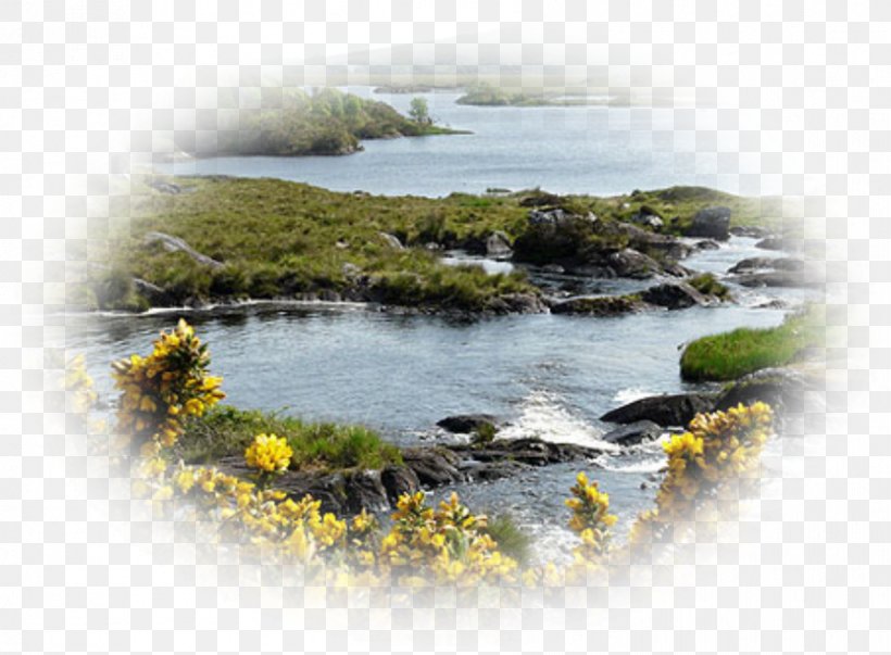 Water Resources Nous Sommes Les Lacs Du Connemara Image, PNG, 892x656px, Water, Coast, English Language, Inlet, Jacques Revaux Download Free