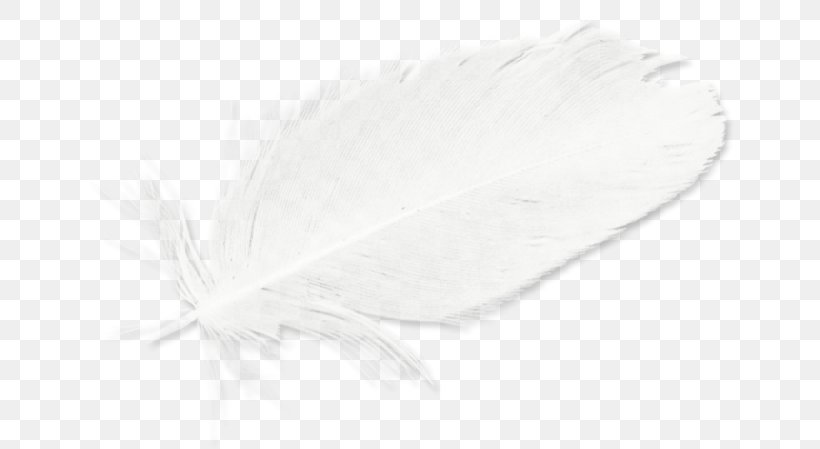 White Feather Black, PNG, 658x449px, White, Black, Black And White, Feather, Monochrome Download Free