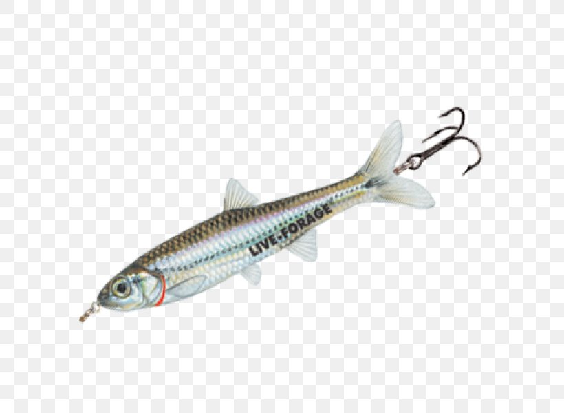 Fishing Baits & Lures Minnow Sardine Surface Lure, PNG, 600x600px, Fishing Baits Lures, Bait, Coulant, Fin, Fish Download Free