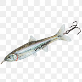 Fish Fried - Fishing Baits & Lures Minnow Sardine Surface Lure PNG