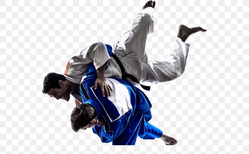My Judo, PNG, 545x508px, Judo, Brazilian Jiujitsu, Combat Sport, Dobok, Judogi Download Free
