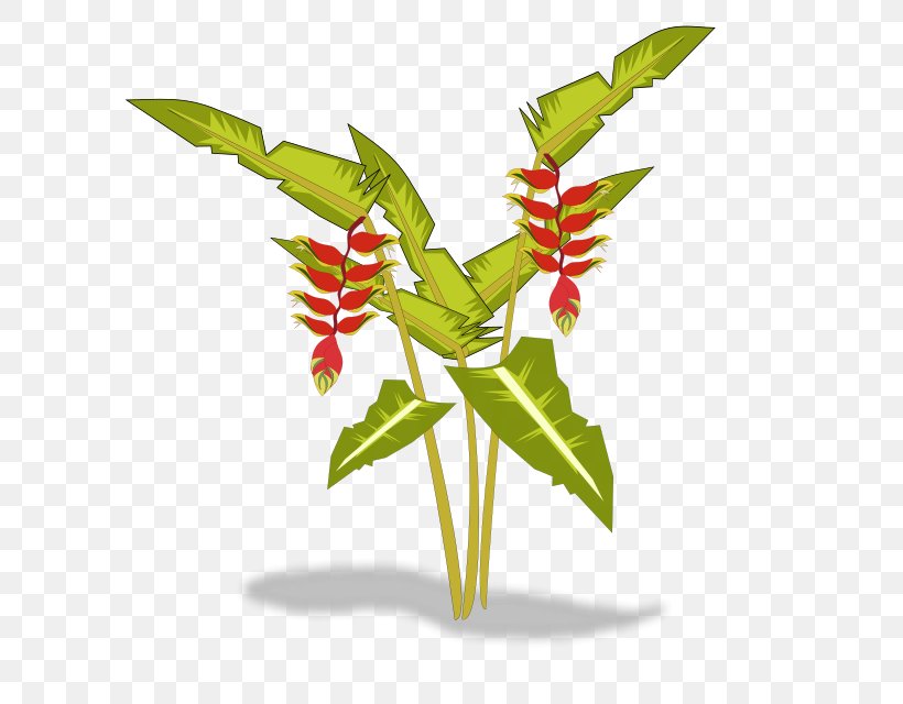 Heliconia Psittacorum Clip Art, PNG, 640x640px, Heliconia Psittacorum, Bird Of Paradise Flower, Editing, Flower, Flowerpot Download Free