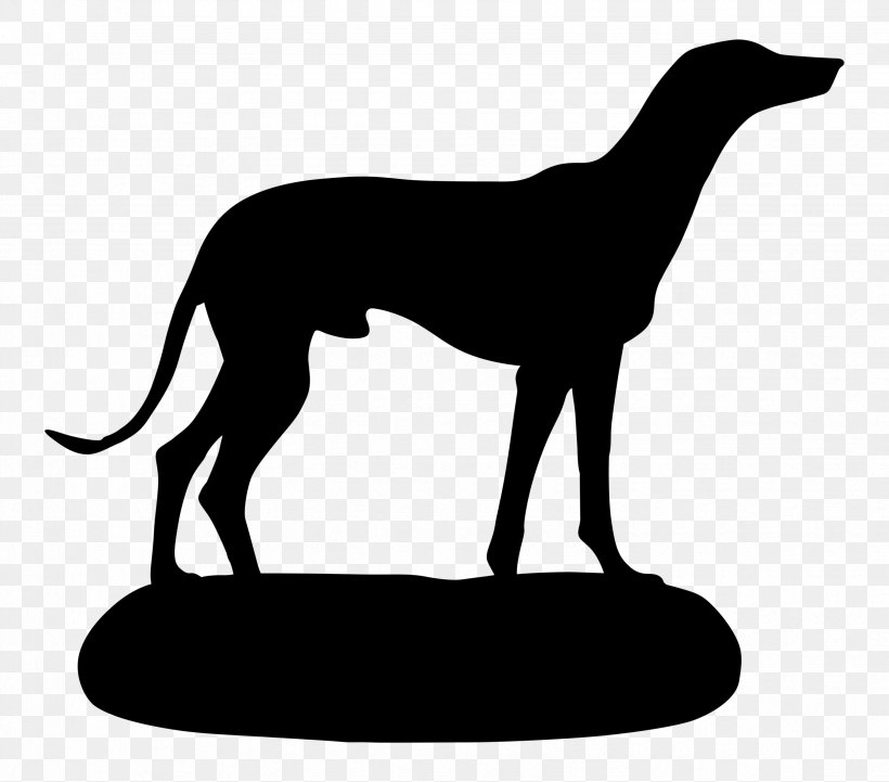 Italian Greyhound Whippet Sloughi Spanish Greyhound, PNG, 3319x2919px, Italian Greyhound, Breed, Canidae, Carnivore, Dog Download Free