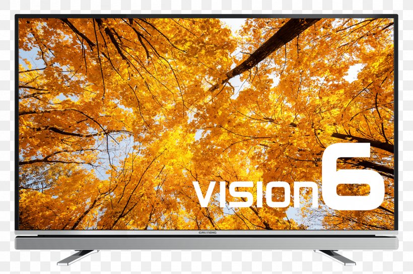 LED-backlit LCD Grundig Vision 6 GFB 6623 Computer Monitors Liquid-crystal Display Display Size, PNG, 1776x1181px, Ledbacklit Lcd, Advertising, Autumn, Computer Monitors, Display Device Download Free