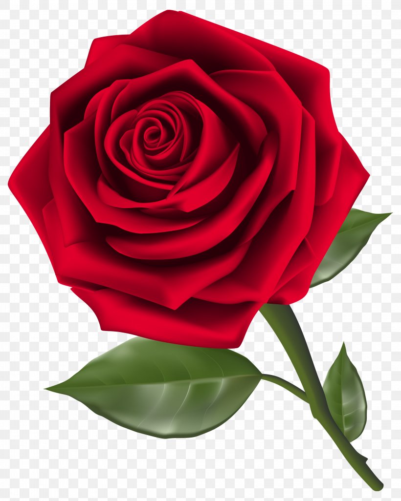 Rose Flower Clip Art, PNG, 3195x4000px, Rose, Color, Cut Flowers ...
