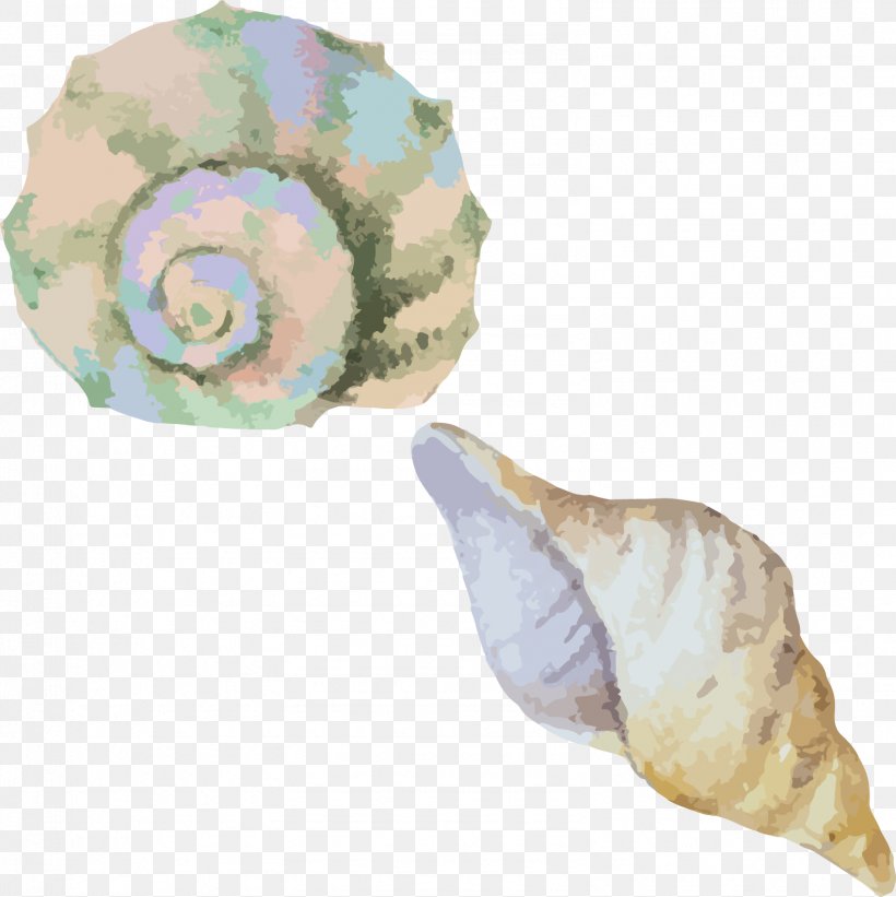 Sea Snail Conch Seashell, PNG, 1584x1587px, 3d Computer Graphics, Sea Snail, Conch, Conchology, Pearl Download Free