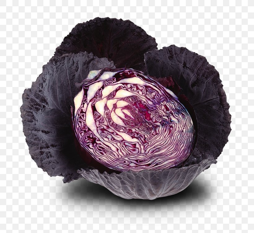 Juice Red Cabbage Vegetable Stamppot Capitata Group, PNG, 750x750px, Juice, Apple, Brassica Oleracea, Capitata Group, Carrot Download Free