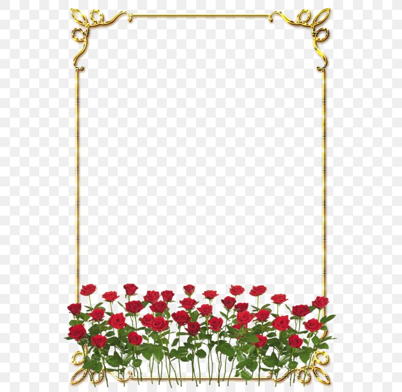 Rose Clip Art, PNG, 560x800px, Rose, Area, Border, Decor, Display Resolution Download Free