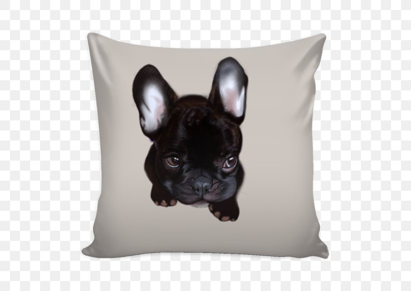 Throw Pillows Cushion Quotation Couch, PNG, 580x580px, Pillow, Bed, Blanket, Bulldog, Carnivoran Download Free