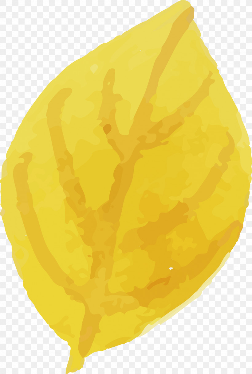 Yellow Commodity Citron, PNG, 2017x3000px, Watercolor Autumn, Citron, Commodity, Watercolor Autumn Leaf, Watercolor Leaf Download Free