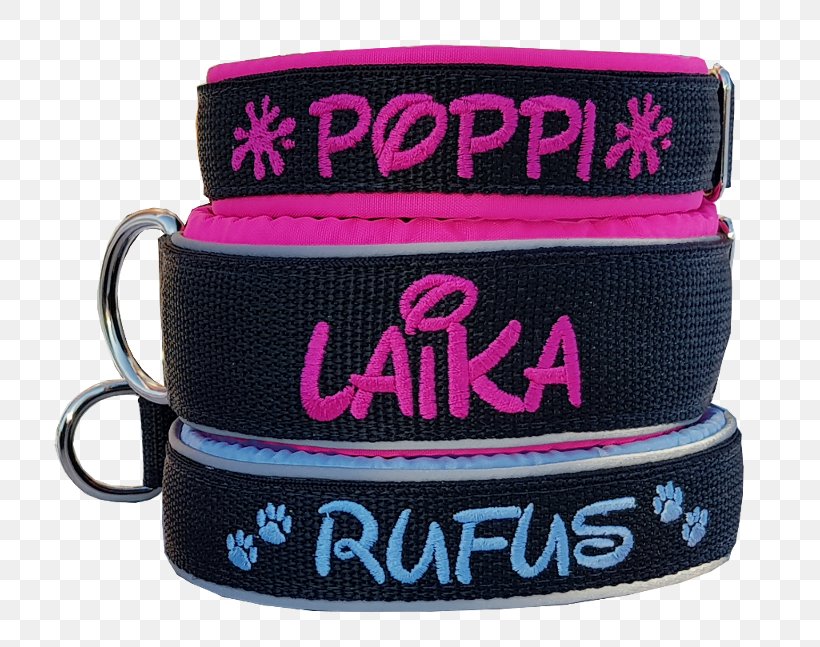 Leash Dog Collar Strap, PNG, 800x647px, Leash, Brand, Collar, Dog, Dog Collar Download Free