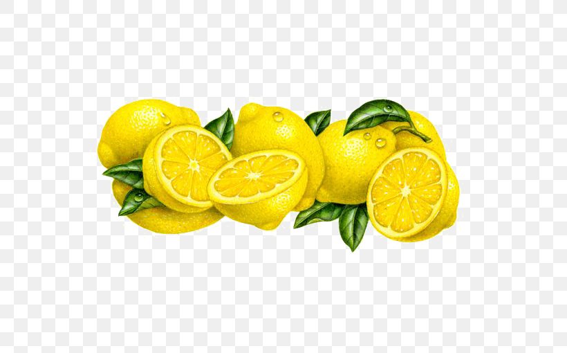 Lemon Fruit Illustrator Illustration Png 564x510px Lemon Citric Acid Citron Citrus Citrus Junos Download Free