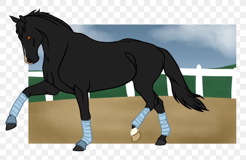 Mane Mustang Stallion Pony Mare, PNG, 1024x669px, Mane, Animated Cartoon, Bridle, English Riding, Equestrian Download Free