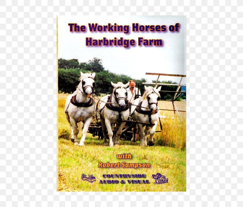 Shire Horse Mule Stallion Horse Harnesses Draft Horse, PNG, 700x700px, Shire Horse, Advertising, Carriage, Cart, Cattle Like Mammal Download Free