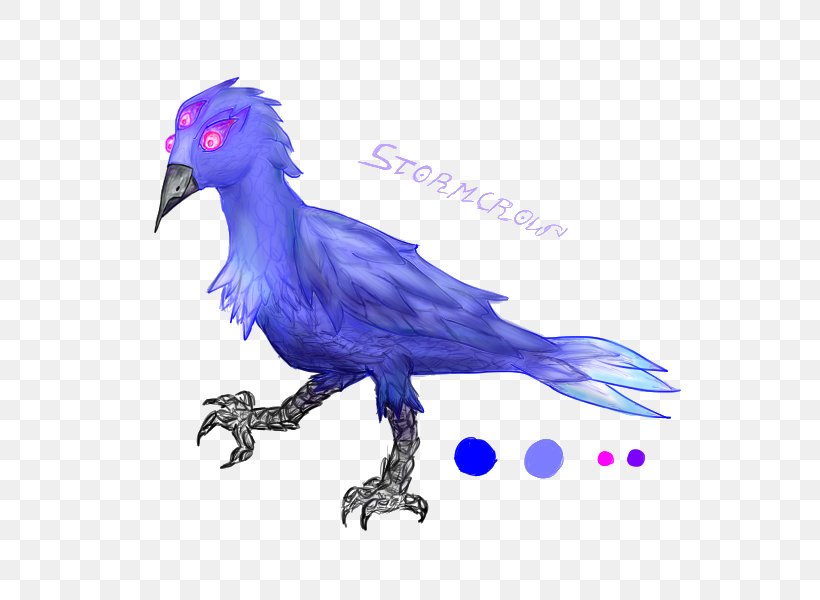 Feather Beak Common Raven, PNG, 800x600px, Feather, Beak, Bird, Common Raven, Crow Download Free