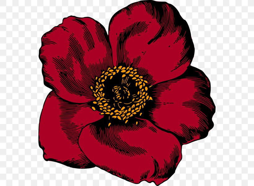 Flower Red Poppy Clip Art, PNG, 572x600px, Flower, Blue, Color, Cut Flowers, Flowering Plant Download Free