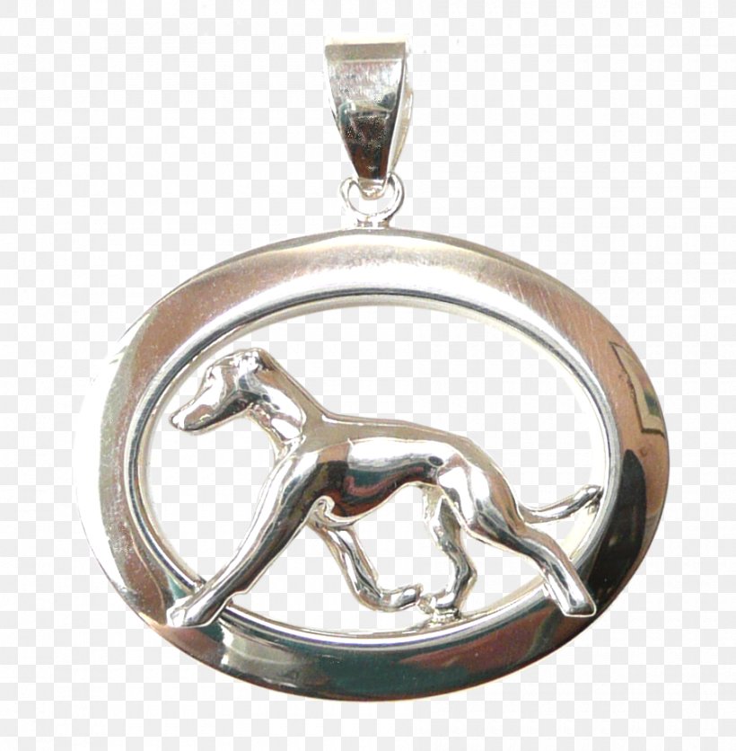 Italian Greyhound Greyhound Lines Dog Breed Mug, PNG, 900x918px, Greyhound, American Kennel Club, Body Jewellery, Body Jewelry, Breed Download Free