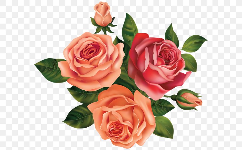 Rose Clip Art, PNG, 600x509px, Rose, Artificial Flower, Black Rose, Cut Flowers, Floral Design Download Free
