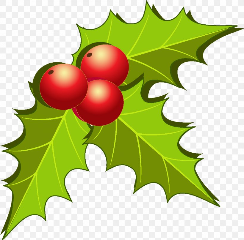 Fruit Christmas Decoration Clip Art, PNG, 1097x1081px, Fruit, Aquifoliaceae, Aquifoliales, Auglis, Branch Download Free