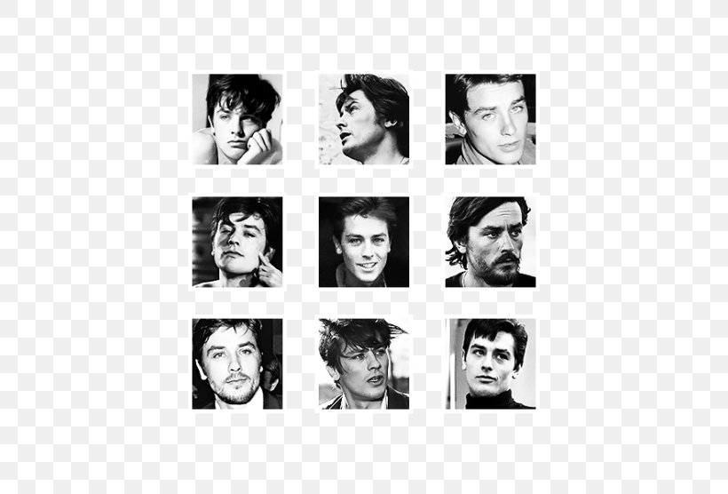 Alain Delon Rocco Siffredi Photography Eyebrow Photomontage, PNG, 500x556px, Alain Delon, Black And White, Collage, Emotion, Eyebrow Download Free