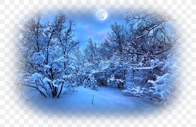 Desktop Wallpaper Winter Night Sky, PNG, 800x533px, Winter, Blue, Branch, Display Resolution, Fir Download Free