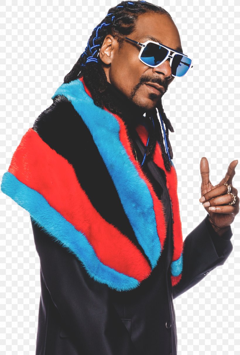 Snoop Dogg GGN News, PNG, 1771x2622px, Watercolor, Cartoon, Flower, Frame, Heart Download Free