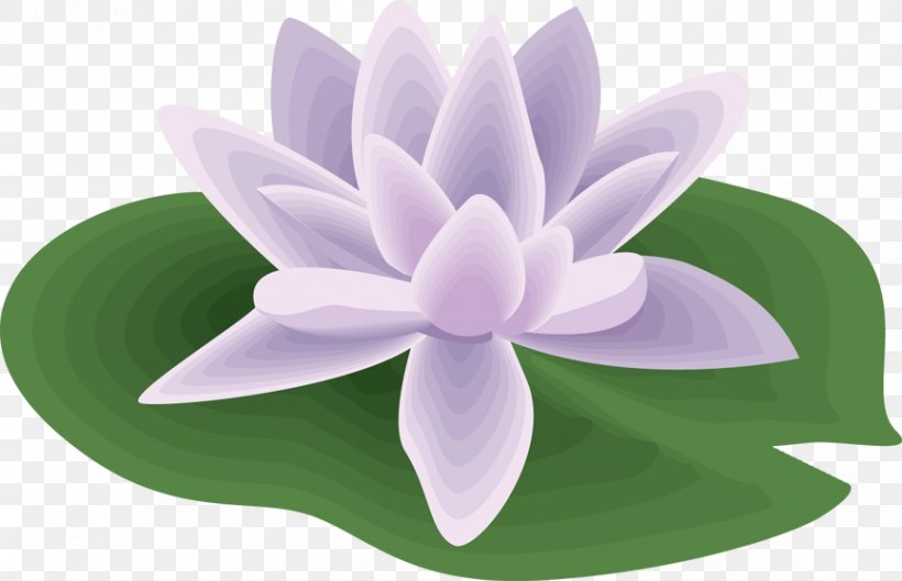 Water Lilies Nelumbo Nucifera Clip Art, PNG, 866x559px, Water Lilies, Aquatic Plant, Document, Drawing, Easter Lily Download Free