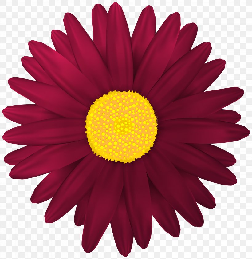 Flower, PNG, 4869x5000px, Flower, Chrysanths, Color, Cut Flowers, Dahlia Download Free