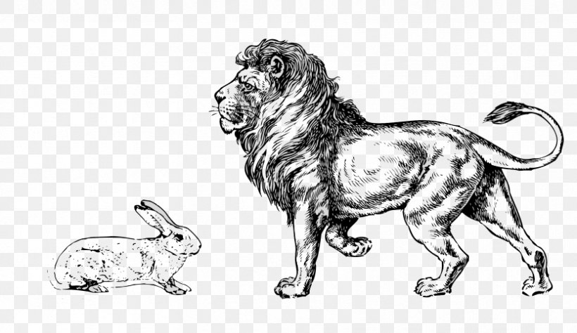 Lion Clip Art Drawing Illustration, PNG, 833x482px, Lion, Ancient Dog Breeds, Animal Figure, Art, Australian Shepherd Download Free