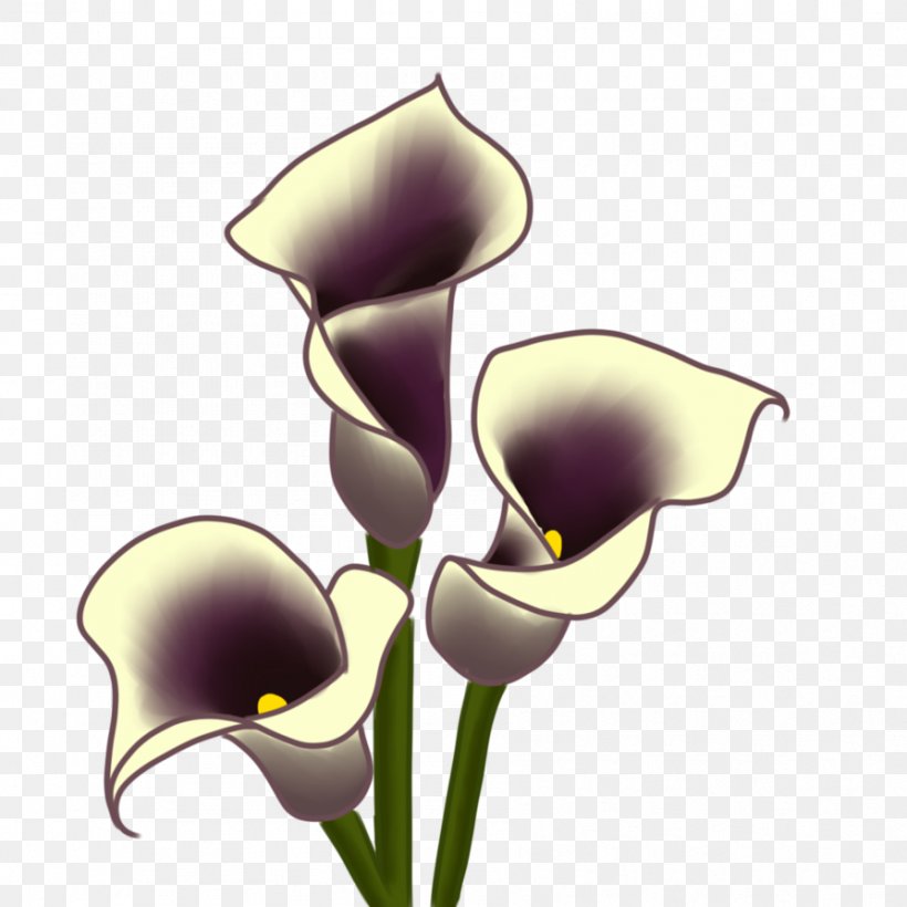 Moth Orchids Cut Flowers Plant Stem Clip Art, PNG, 894x894px, Moth ...