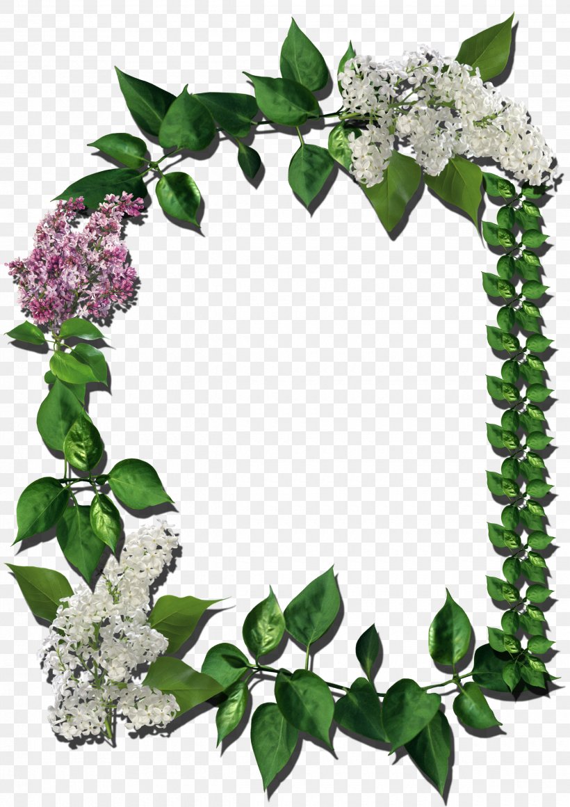 Picture Frames Flower, PNG, 2480x3510px, Picture Frames, Dots Per Inch, Flower, Layers, Leaf Download Free