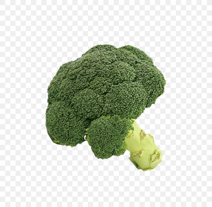 Broccoli Cauliflower Vegetable, PNG, 800x800px, Broccoli, Cauliflower, Fruit, Grass, Green Download Free