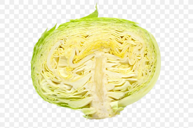 Cabbage Vegetable Julienning Eating, PNG, 3008x2000px, Cabbage, Bucatini, Cabbage Family, Cuisine, Daikon Download Free