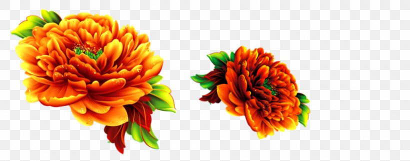 Chrysanthemum Flower, PNG, 1020x401px, Chrysanthemum, Chrysanths, Computer, Cut Flowers, Designer Download Free
