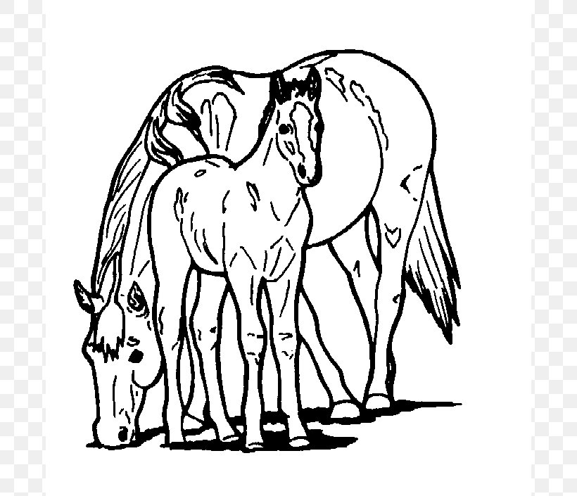 Horse Foal Coloring Book Child Mare, PNG, 690x705px, Horse, Adult, Animal, Animal Figure, Area Download Free