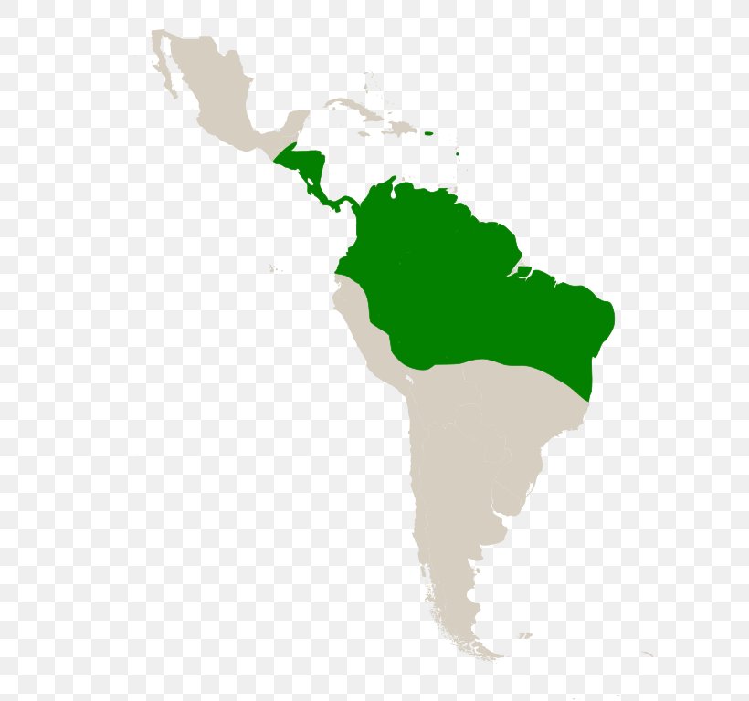 Latin America South America Subregion Spanish Colonization Of The Americas, PNG, 611x768px, Latin America, Americas, Country, Geography, Grass Download Free