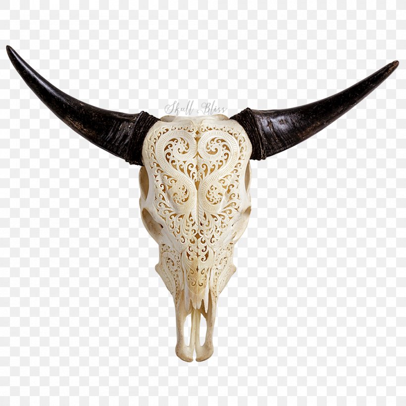 Texas Longhorn Animal Skulls Bull, PNG, 1000x1000px, Texas Longhorn, Anatomy, Animal, Animal Skulls, Bone Download Free