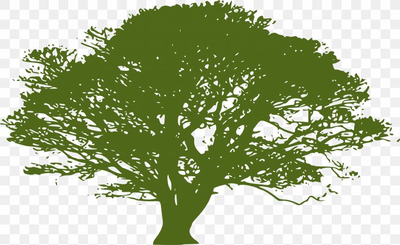 Tree Clip Art, PNG, 1920x1177px, Tree, Art, Banyan Tree Holdings, Branch, Grass Download Free