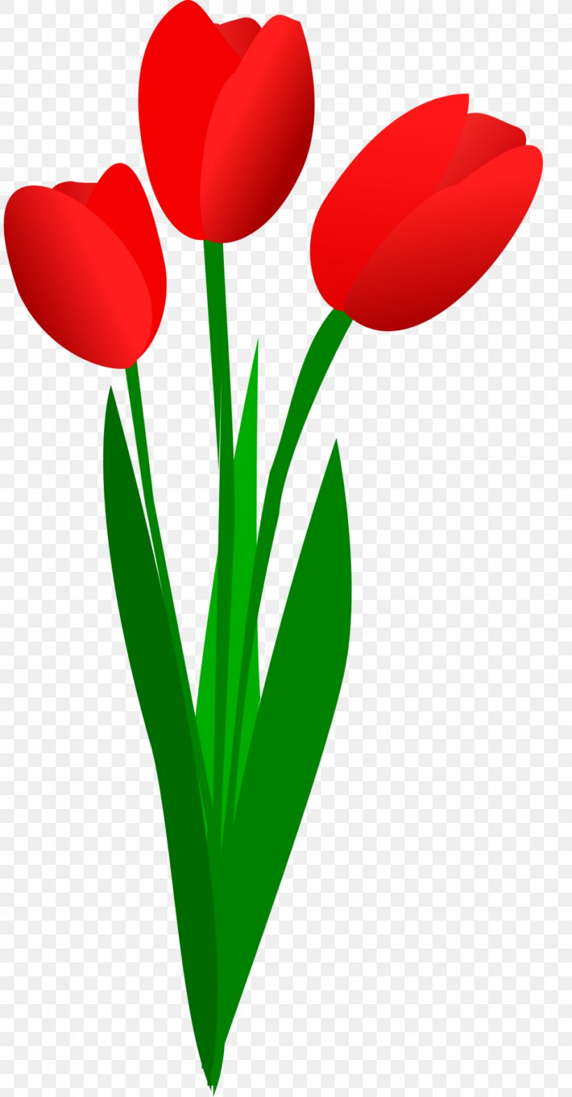 Tulip Free Content Flower Clip Art, PNG, 958x1838px, Tulip, Artwork, Blog, Computer, Cut Flowers Download Free