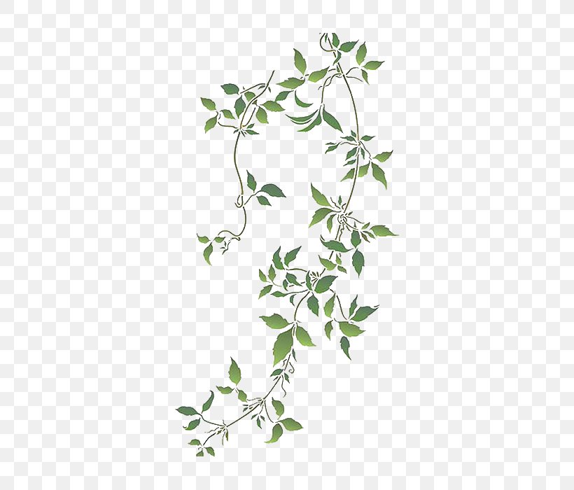Vine Stencil Anemone Clematis Tree, PNG, 700x700px, Vine, Branch, Flora, Flower, Flowering Plant Download Free