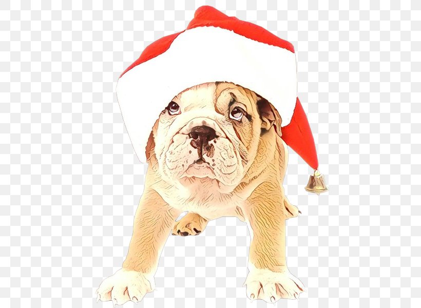 Christmas Santa Claus, PNG, 476x600px, Bulldog, Australian Bulldog, British Bulldogs, Christmas Day, Cuteness Download Free