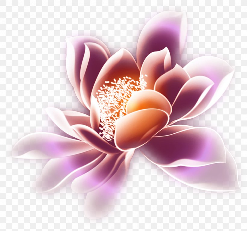 Mid-Autumn Festival, PNG, 961x900px, Midautumn Festival, Close Up, Dahlia, Festival, Flower Download Free