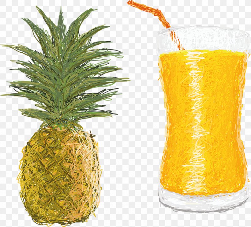 Orange Juice Pineapple Fruit Jus Dananas, PNG, 886x802px, Juice, Ananas, Auglis, Bromeliaceae, Drink Download Free