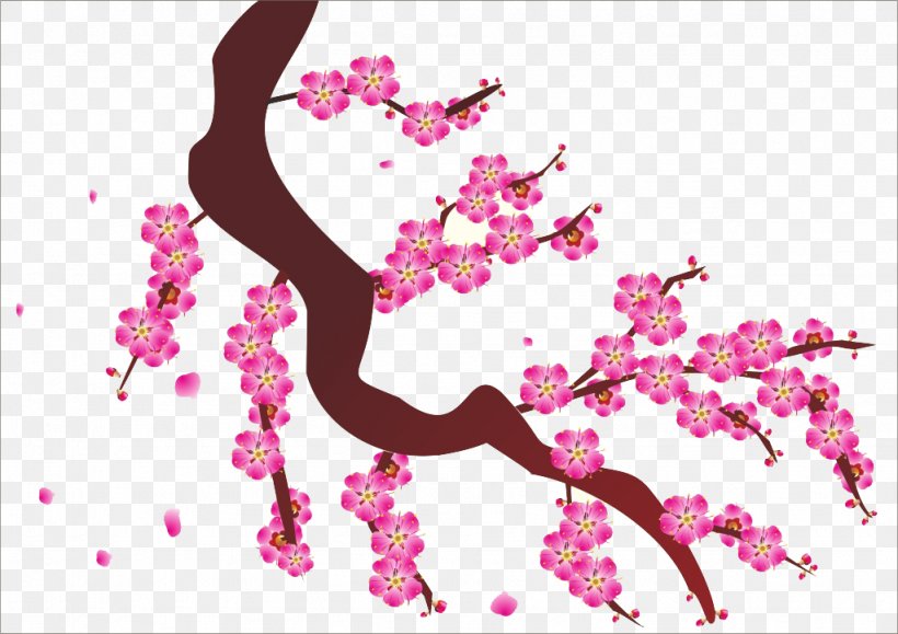 Photography, PNG, 1024x724px, Photography, Blossom, Branch, Cherry Blossom, Computer Software Download Free