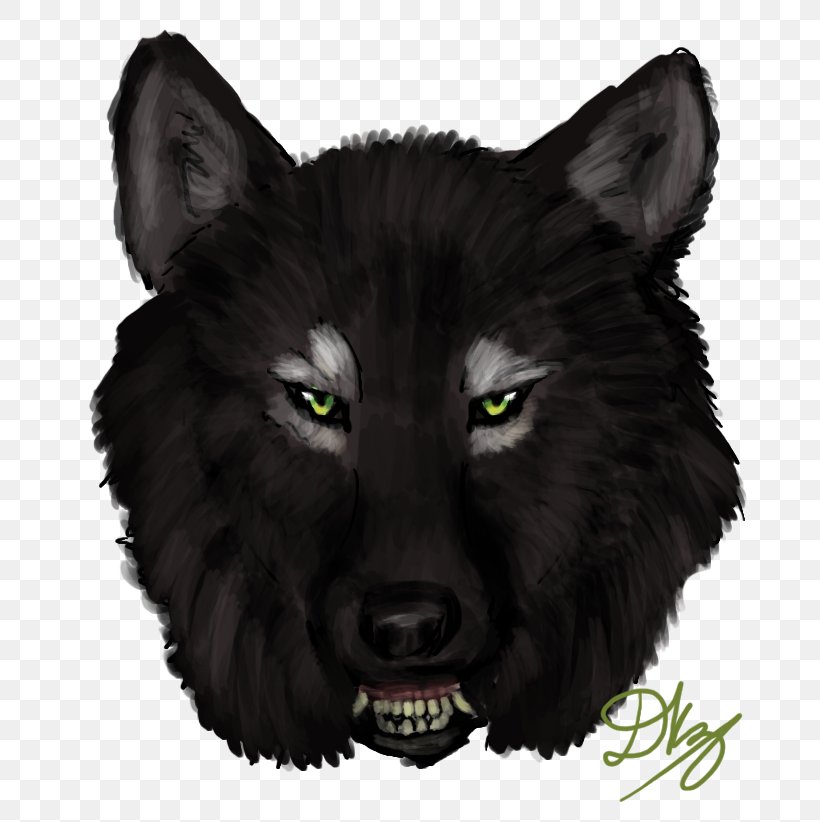 Gray Wolf Whiskers Snout Fur Werewolf, PNG, 717x822px, Gray Wolf, Carnivoran, Dog Like Mammal, Fur, Head Download Free