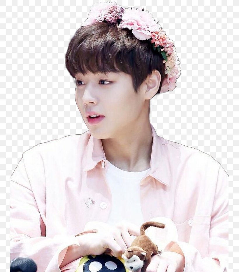 Park Jihoon Wanna One Produce 101 Season 2 Nothing Without You, PNG, 749x930px, Watercolor, Cartoon, Flower, Frame, Heart Download Free
